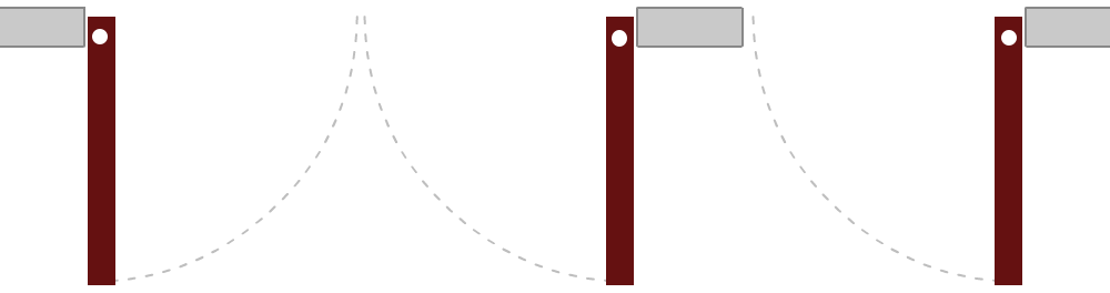 2 + single panel pivoting door